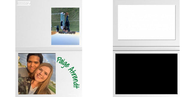 Custom Solid Z Palette