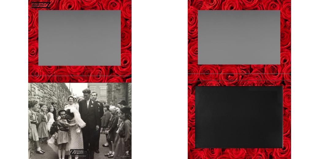 Custom Extra Large Z Palette