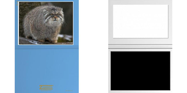 Custom Solid Z Palette