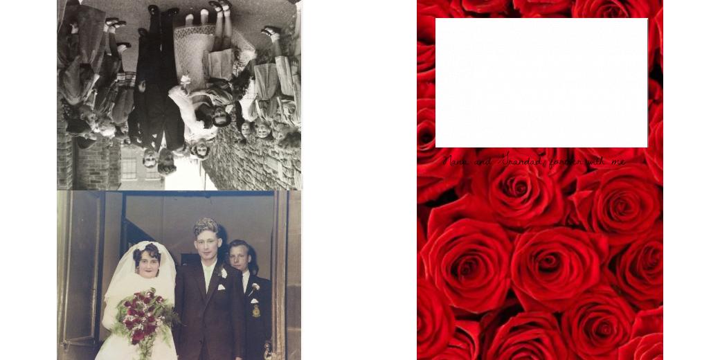 Custom Solid Z Palette