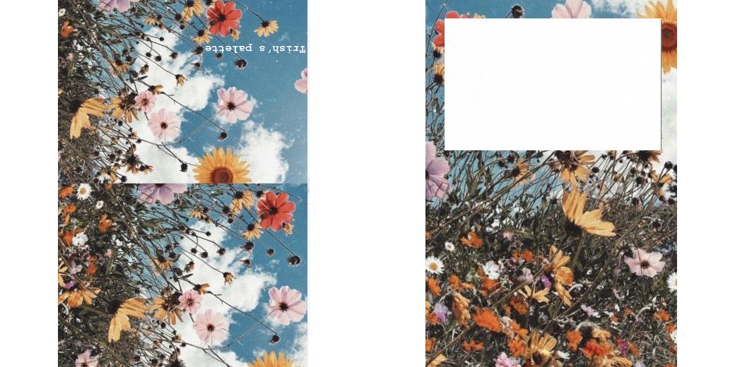 Custom Solid Z Palette