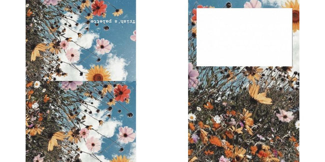 Custom Solid Z Palette