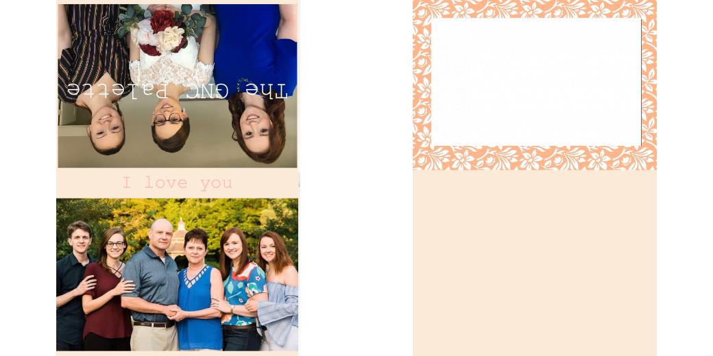 Custom Solid Z Palette