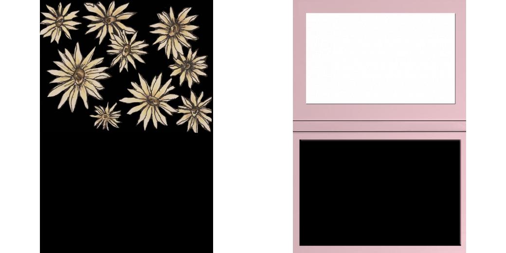 Custom Solid Z Palette