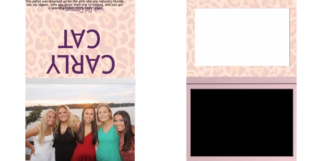 Custom Solid Z Palette