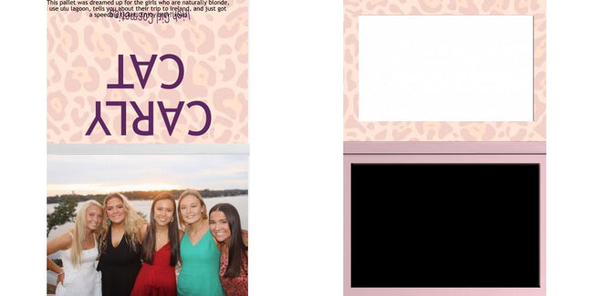 Custom Solid Z Palette