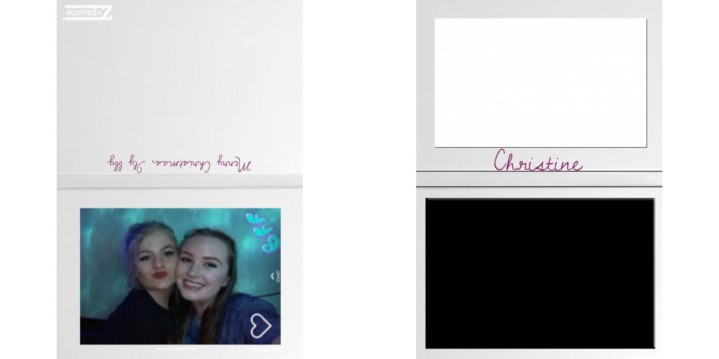 Custom Solid Z Palette