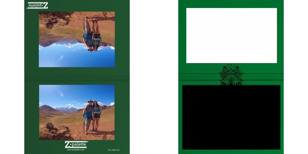 Custom Solid Z Palette