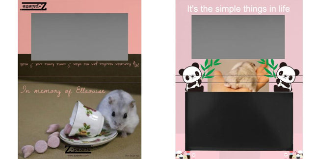 Custom Medium Deep Z Palette