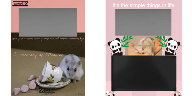 Custom Medium Deep Z Palette