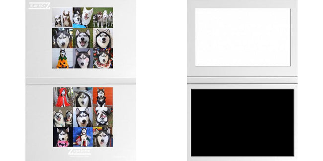 Custom Solid Z Palette