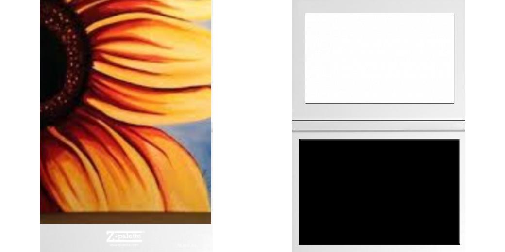 Custom Solid Z Palette