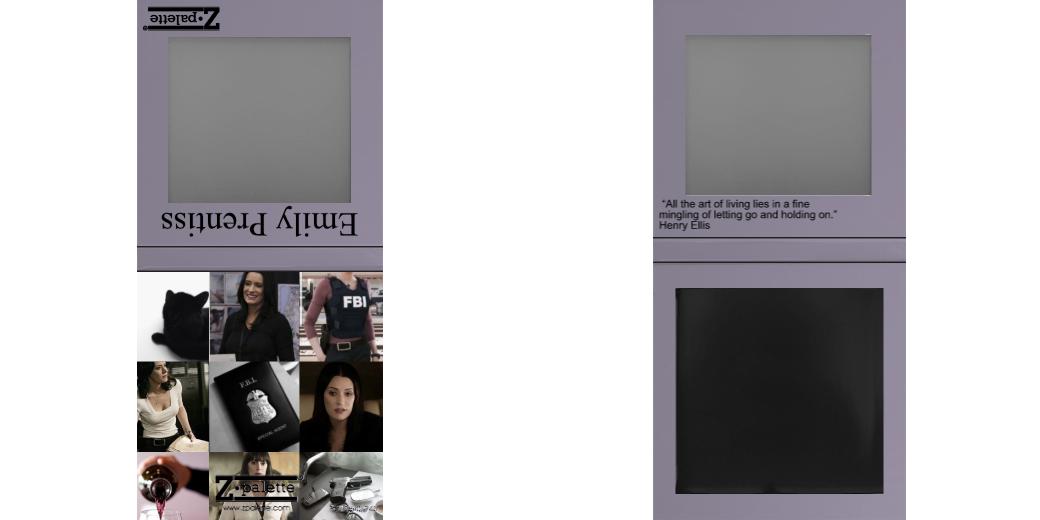 Custom Small Z Palette