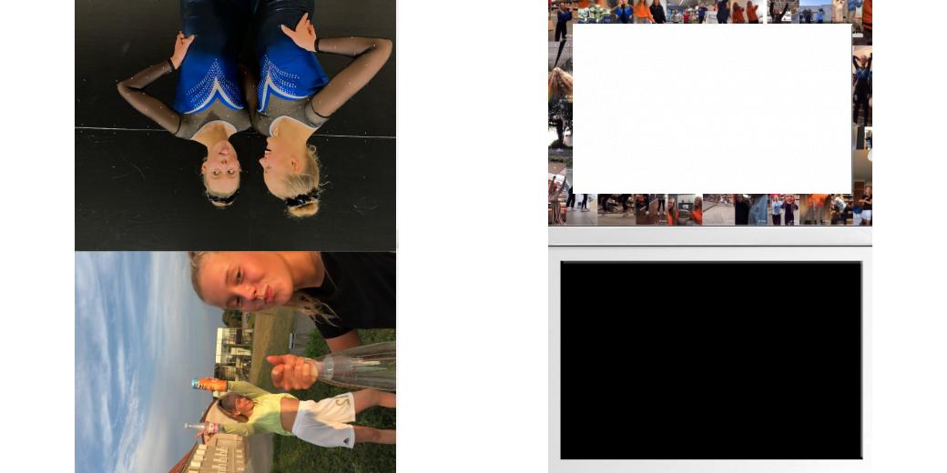 Custom Solid Z Palette