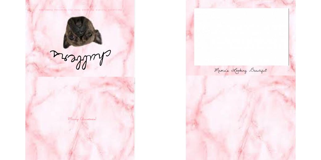 Custom Solid Z Palette