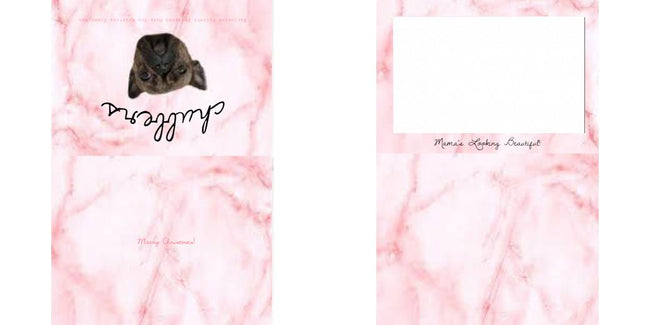 Custom Solid Z Palette