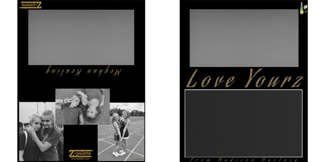 Custom Large Z Palette