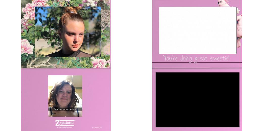 Custom Solid Z Palette