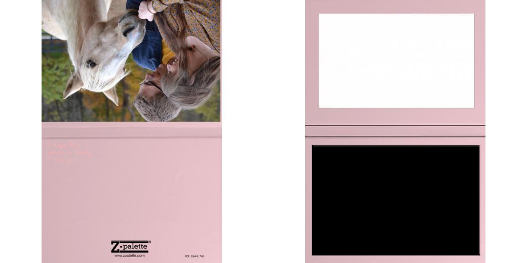 Custom Solid Z Palette