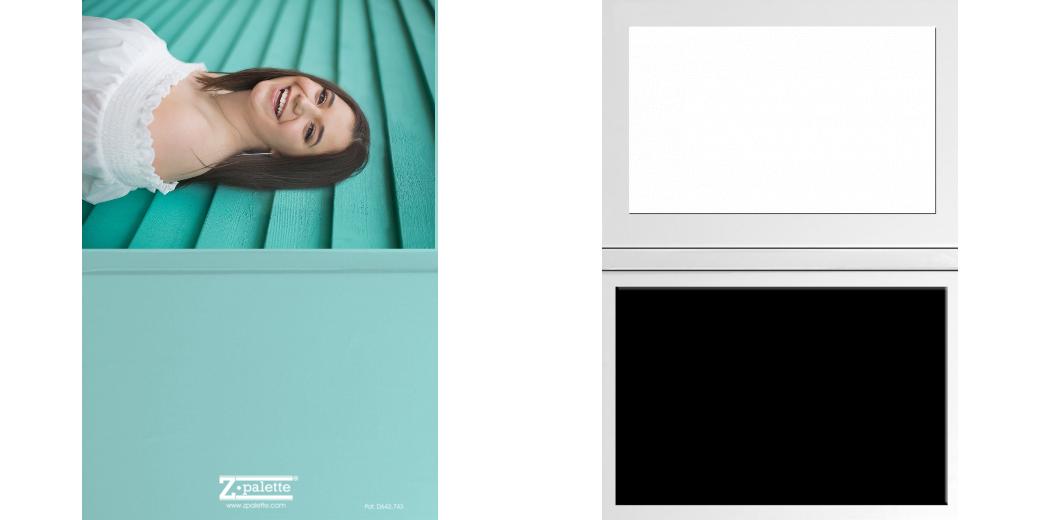 Custom Solid Z Palette