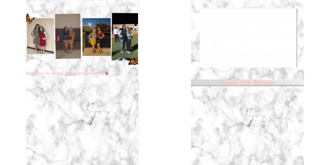 Custom Solid Z Palette