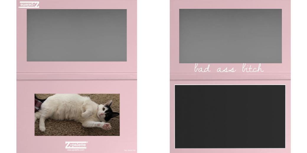 Custom Large Z Palette