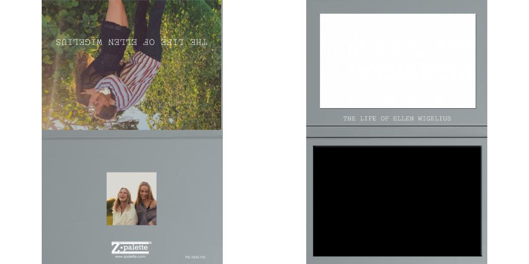 Custom Solid Z Palette