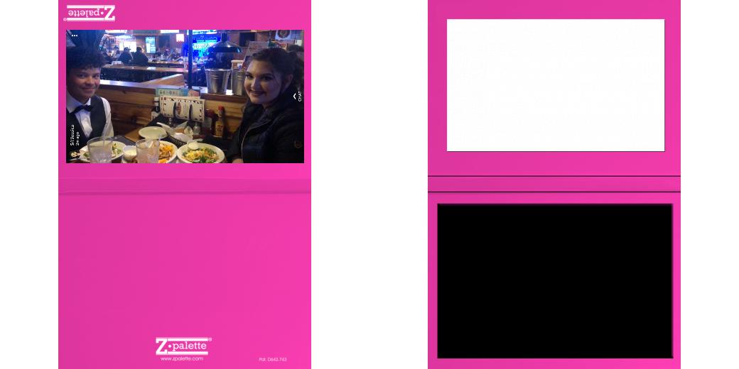 Custom Solid Z Palette