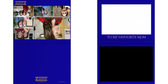 Custom Solid Z Palette