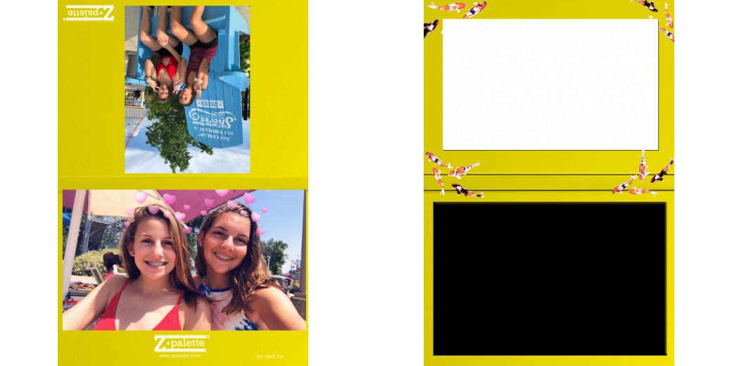 Custom Solid Z Palette