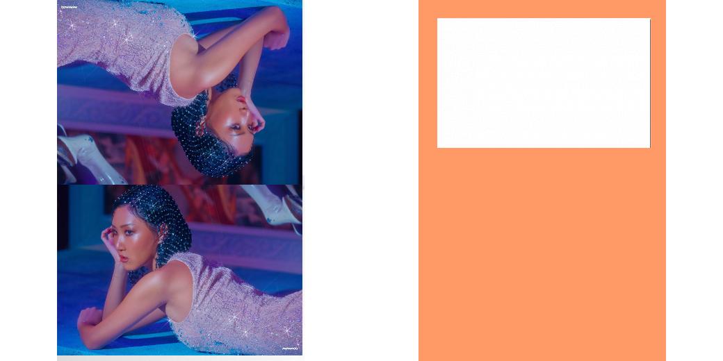 Custom Solid Z Palette