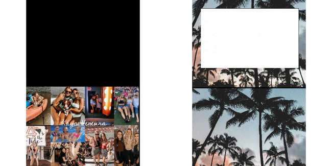 Custom Solid Z Palette