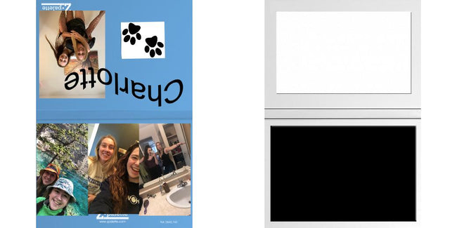 Custom Solid Z Palette