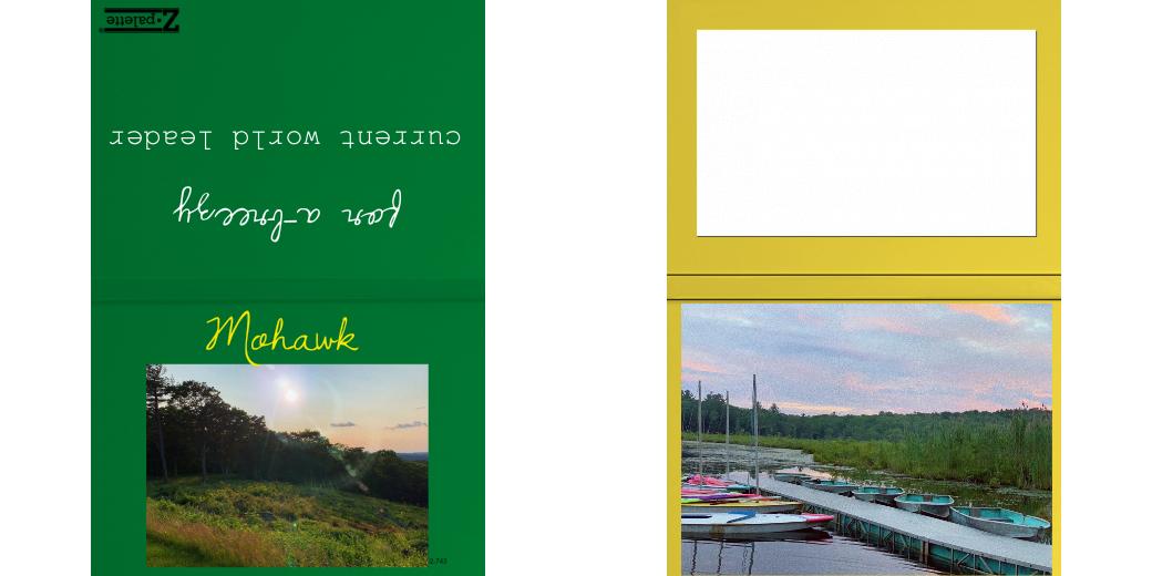 Custom Solid Z Palette