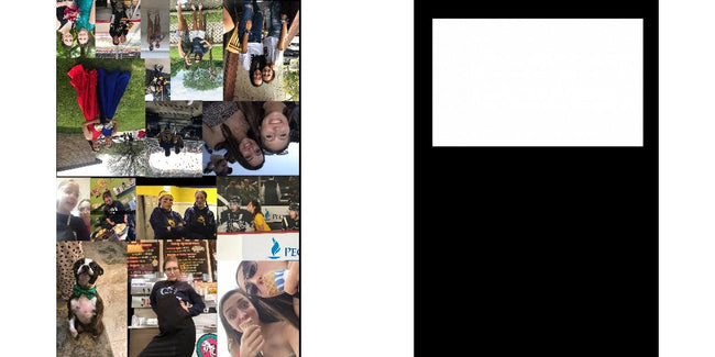 Custom Solid Z Palette