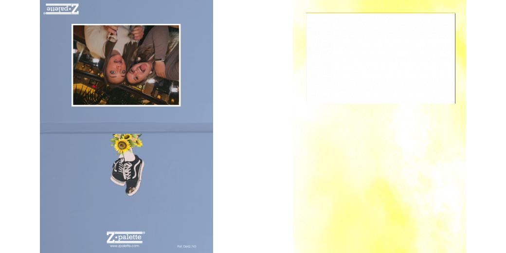 Custom Solid Z Palette