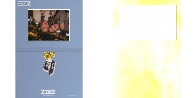 Custom Solid Z Palette