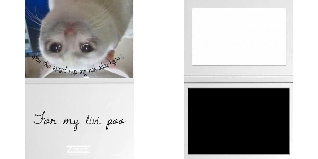 Custom Solid Z Palette