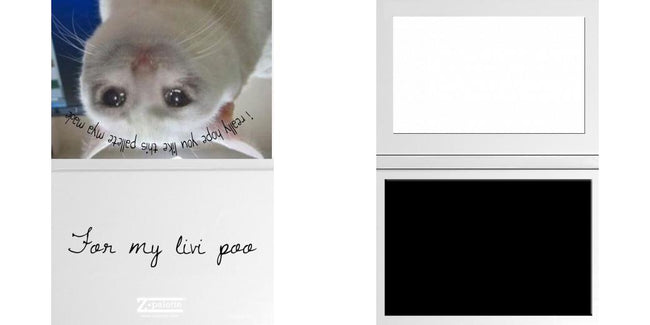 Custom Solid Z Palette