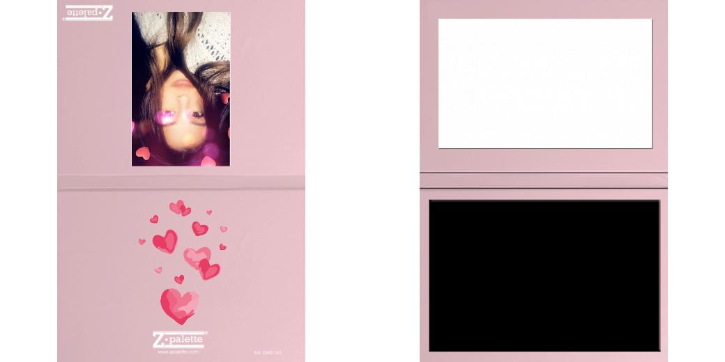 Custom Solid Z Palette