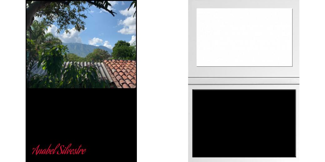 Custom Solid Z Palette