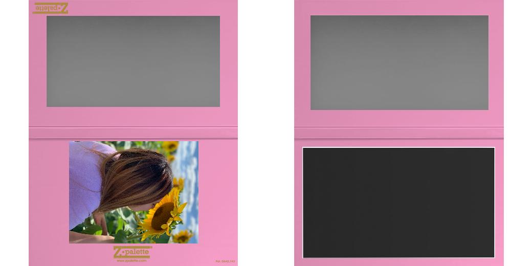 Custom Large Z Palette