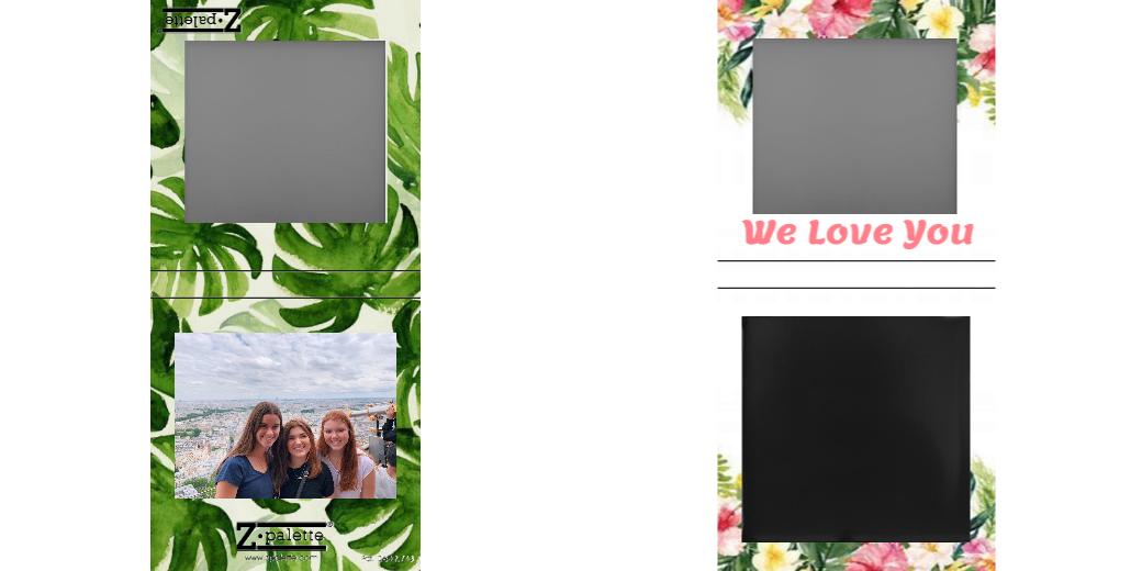 Custom Small Z Palette