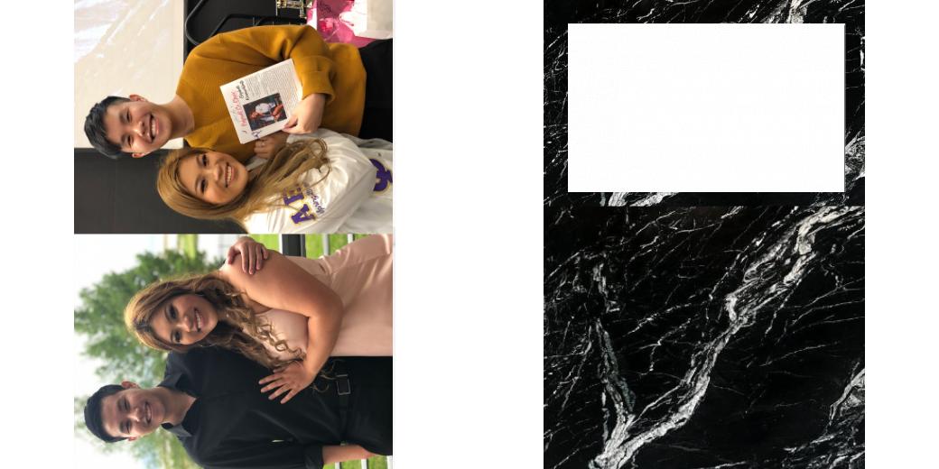 Custom Solid Z Palette