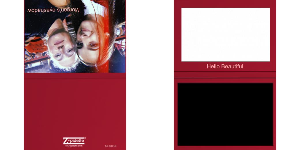 Custom Solid Z Palette