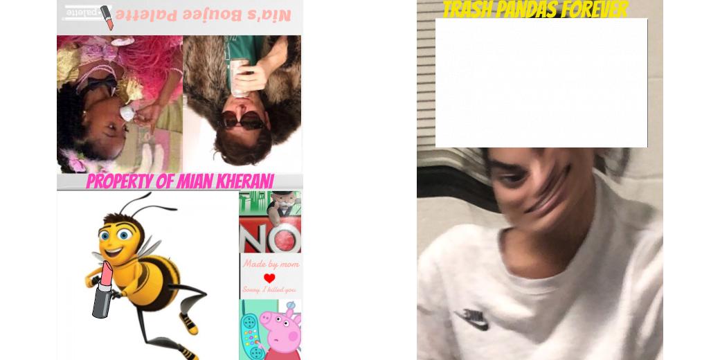 Custom Solid Z Palette