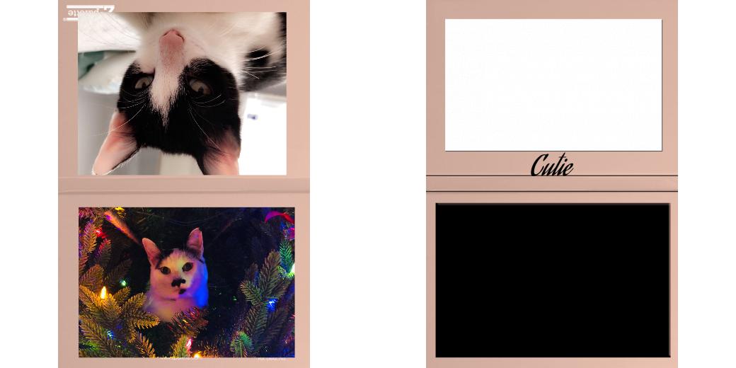 Custom Solid Z Palette