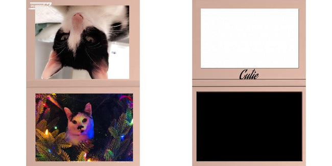 Custom Solid Z Palette