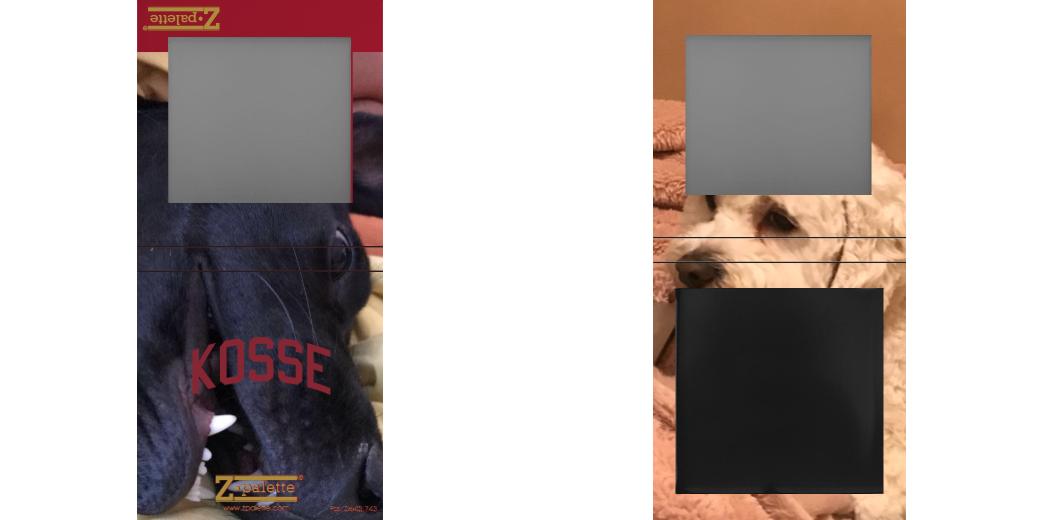 Custom Small Z Palette