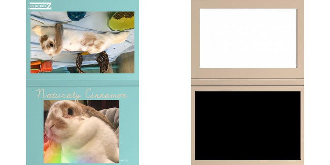 Custom Solid Z Palette